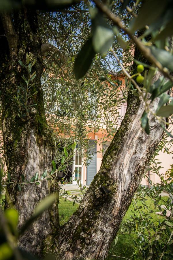 Maison Casa Lavanda Bellagio Extérieur photo